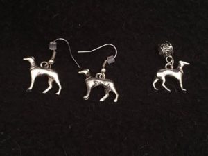 Earrings and Charms